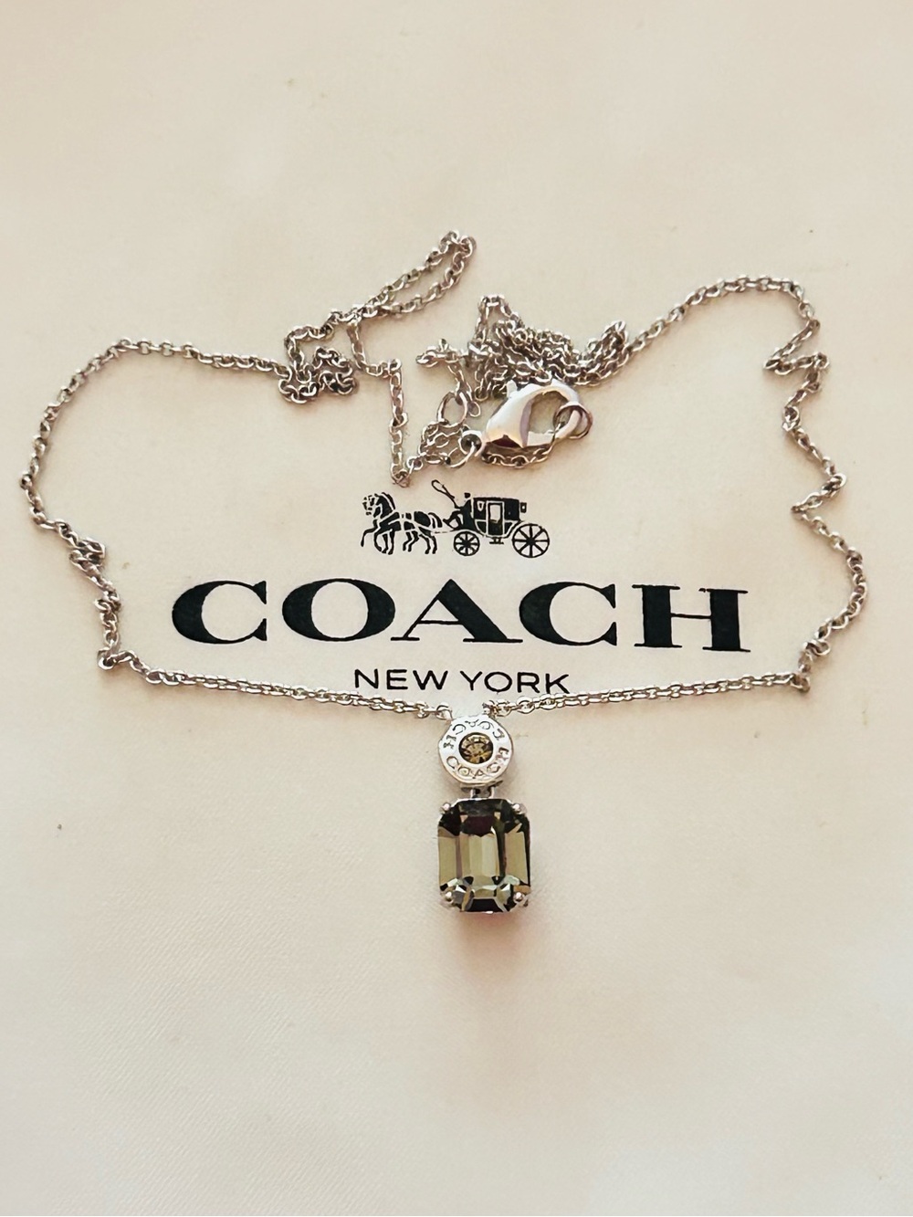 Coach Smoky Gray Stone Charm Necklace - Picture 8 of 14